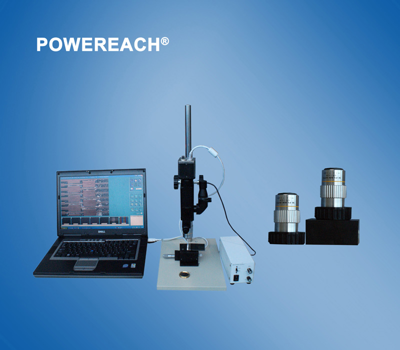 ��΢����