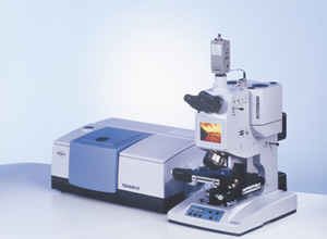 ����Ҷ���������