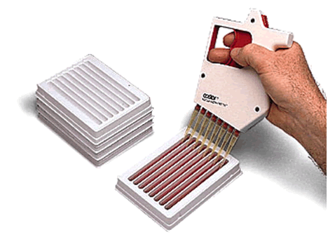 ��������bio-radС��������