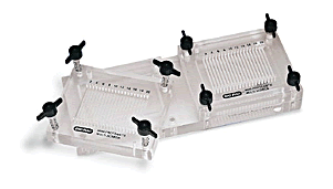 ��������bio-rad���ɸѡ��