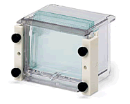 �������֣�bio-rad��Mini-PROTEAN 3 ��������ེ��