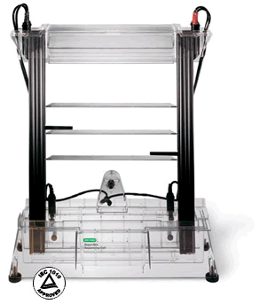 ����Bio-Rad����Sequi-Gen GT�����Ӿ��