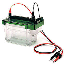 ��������bio-rad���ʹ�ֱ��Ӿ�� Criterion Cell 165-6001