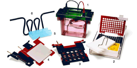 ��������BIO-RAD��תӡ�ۣ�Criterionתӡ�ǣ�