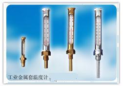 �������¶ȼ� �ͺ�:wi300100