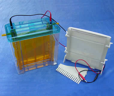 ˫��ֱ��Ӿ�� �ͺ�: wi143569