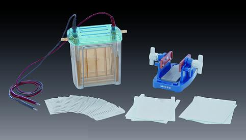 ˫��ֱ��Ӿ��(����)�к� �ͺ�: wi160717