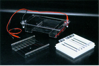 ��֬��ˮƽ��Ӿ��(����)�к� �ͺ�: wi160950