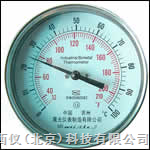 ˫�����¶ȼ� �ͺ�:wi297471