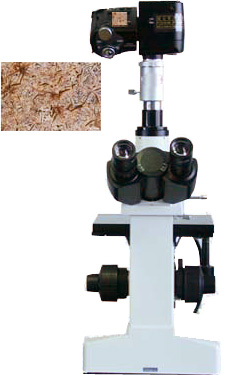 ��������Ŀ����ʽ������΢��