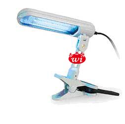 �����߹�����