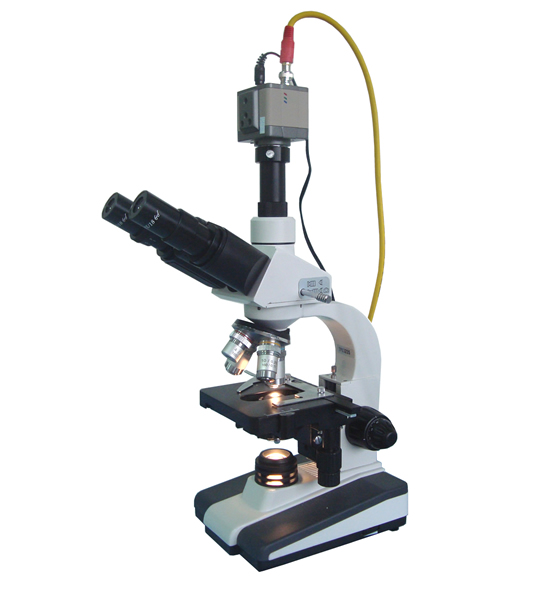 һ��Ѫ�����