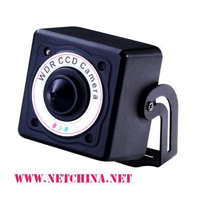 ������̬΢�������