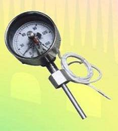 WSSXNϵ�������ӵ�˫�����¶ȼ�