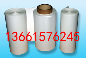 ����PALL 0.8um 25MMSUPORĤ ����60109