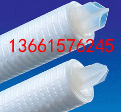 ����PALL 0.2um 13MM SUPORĤ ����60298