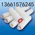 ���ķ���ϩĤ��ˮ��50mm0.22/0.45��m ����PTFE502