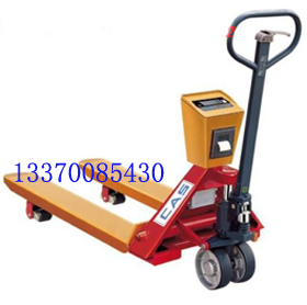 ��ɽ300kg���ӳ��Ϻ��ֶ����ӳӽ�ɽֱ�ӵ��ӵ���