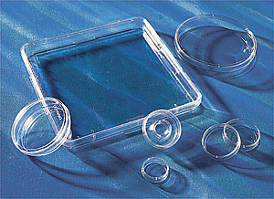 ����������75MM