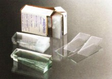 ĥ��˫�����ز�Ƭ