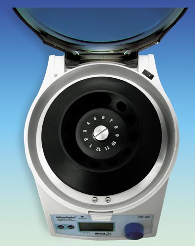 С�͸������Ļ�