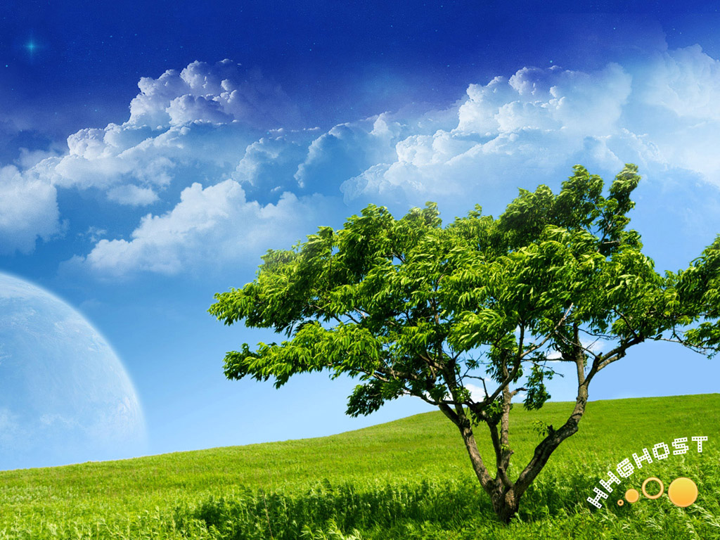 2011������Ϻ����ʻ������������װ��չ����