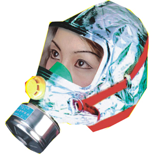 ����ʽ�ԾȺ�����