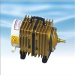 ���ʽ�񶯿�����