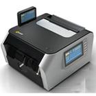 ������ֽ��