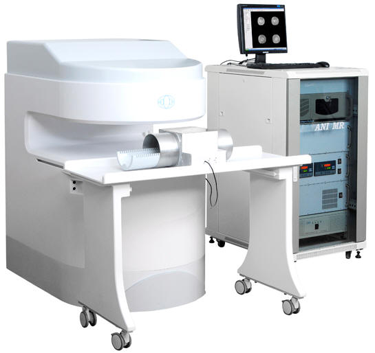 ����Ź��������