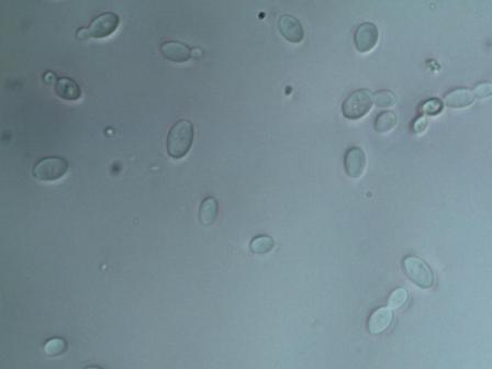 ��ˮ�����