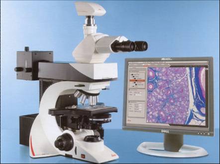 �¹��⿨Leica������΢��DM2500M