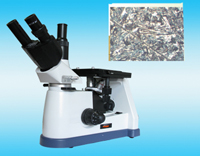 ���ý�����΢�� LWD200-4T