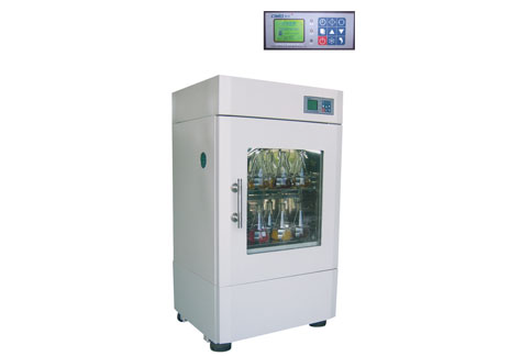 С����˫�����ҡ��