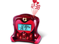 RA313P-L ����ͶӰС����(ŷ����)