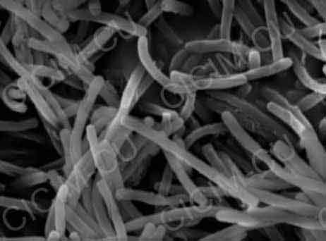 ɳ���Ͼ���