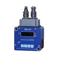 ������ʾѹ���̵���