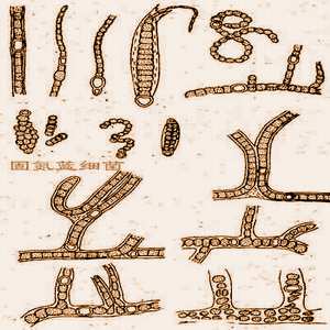 ľ���������