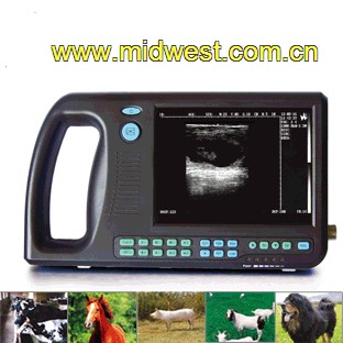 A ��Яʽ����B��/����B��/�й�/����