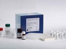 �˰׽���-5(IL-5)ELISA�Լ���