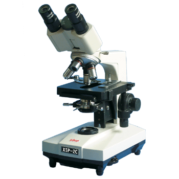 ������΢��