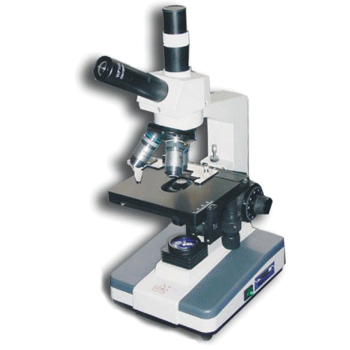 ������΢��