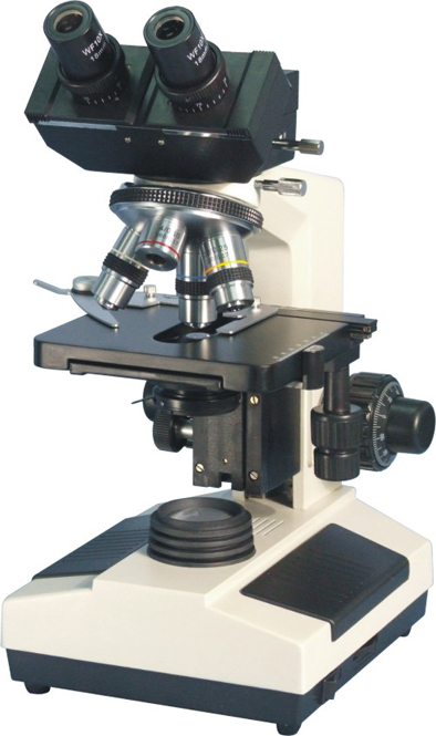 ������΢��