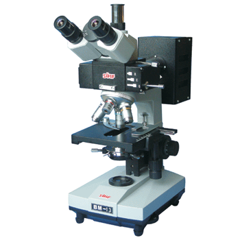 ��Ŀ����ӫ����΢��