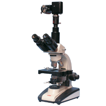 ��Ŀ������΢��