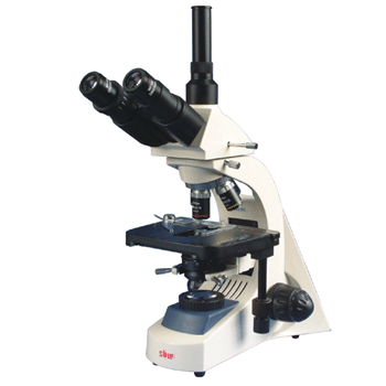 ��Ŀ������΢��