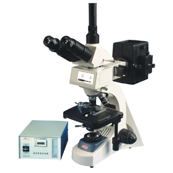 ��Ŀ����ӫ����΢��