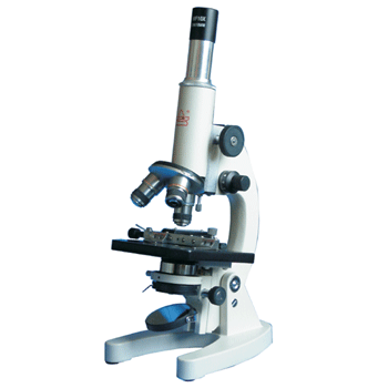 ������΢��