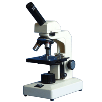 ѧ����΢��