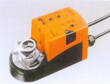 ����ִ����